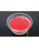 Panna Cotta